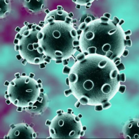 Belangrijke informatie omtrent het Coronavirus